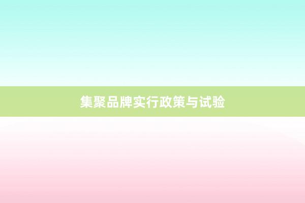 集聚品牌实行政策与试验